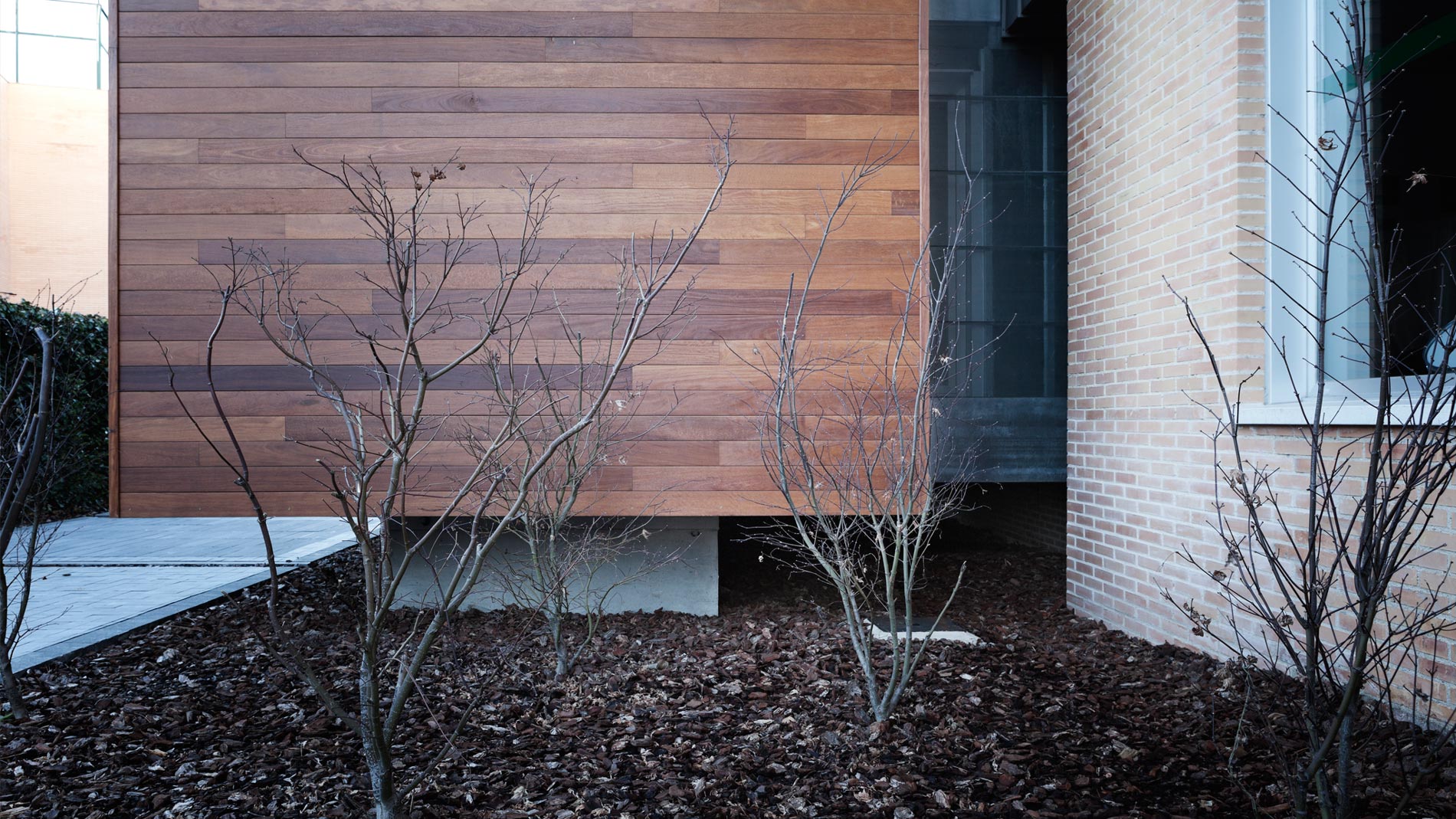 Teatro British Council